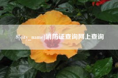河北消防证查询网上查询