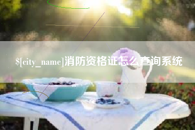 河北消防资格证怎么查询系统