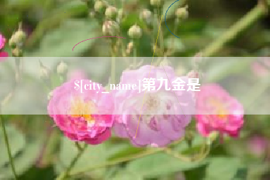 河北第九金是