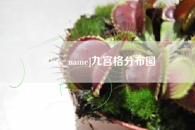 河北九宫格分布图