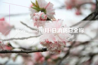 河北11月9日消防日全称