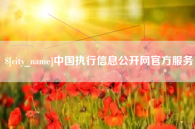 河北中国执行信息公开网官方服务