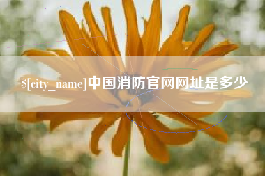 河北中国消防官网网址是多少