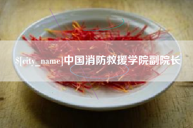河北中国消防救援学院副院长