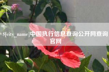 河北中国执行信息查询公开网查询官网
