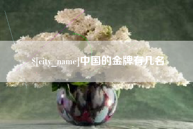 河北中国的金牌有几名