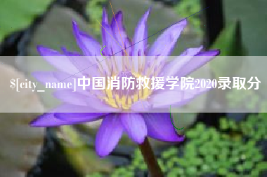 河北中国消防救援学院2020录取分