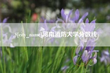 河北河南消防大学分数线