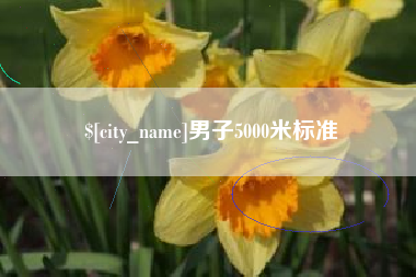 河北男子5000米标准