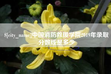 河北中国消防救援学院2019年录取分数线是多少