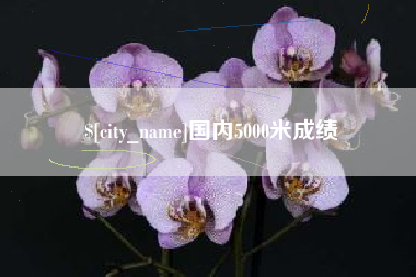 河北国内5000米成绩