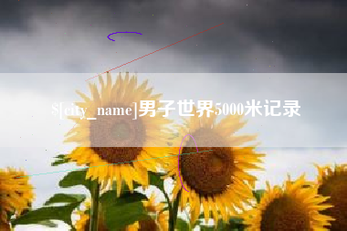 河北男子世界5000米记录