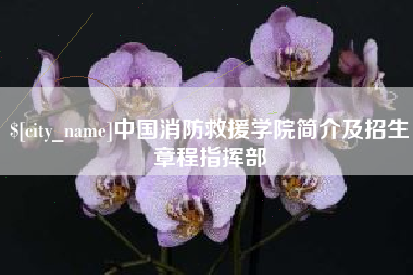 河北中国消防救援学院简介及招生章程指挥部