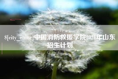 河北中国消防救援学院2021年山东招生计划