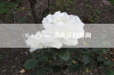 河北消防证的查询