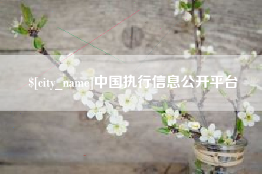 河北中国执行信息公开平台