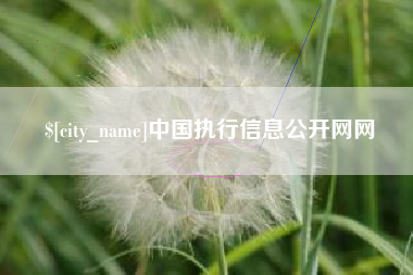 河北中国执行信息公开网网
