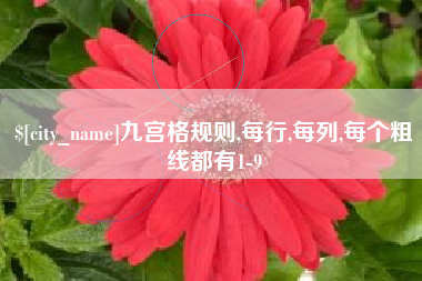河北九宫格规则,每行,每列,每个粗线都有1-9