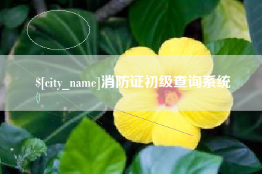 河北消防证初级查询系统
