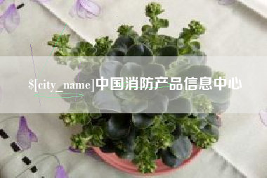 河北中国消防产品信息中心