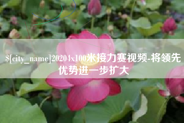 河北20204x100米接力赛视频-将领先优势进一步扩大
