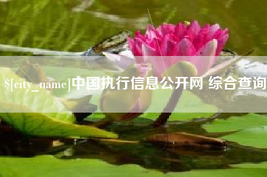 河北中国执行信息公开网 综合查询