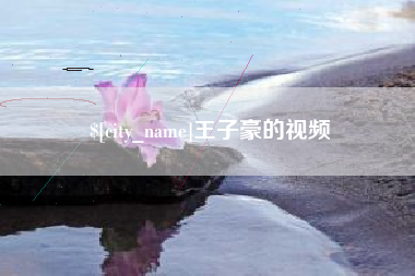 河北王子豪的视频