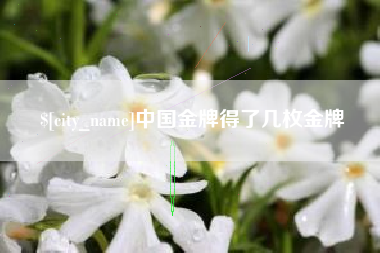 河北中国金牌得了几枚金牌