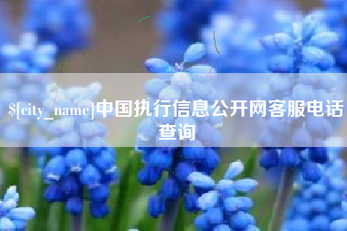 河北中国执行信息公开网客服电话查询