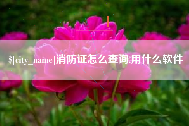 河北消防证怎么查询,用什么软件