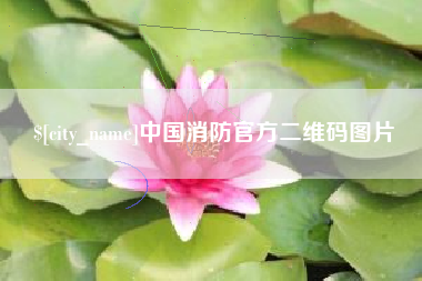 河北中国消防官方二维码图片