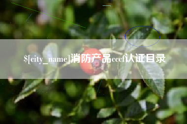 河北消防产品cccf认证目录