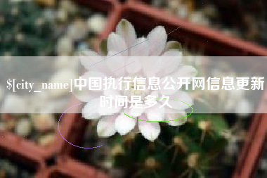 河北中国执行信息公开网信息更新时间是多久