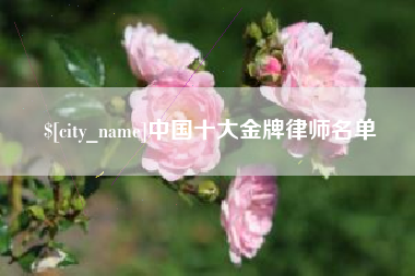 河北中国十大金牌律师名单