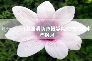 河北中国消防救援学院对视力要求严格吗