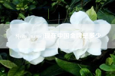 河北现在中国金牌是多少