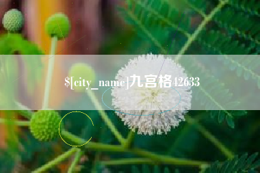 河北九宫格42633
