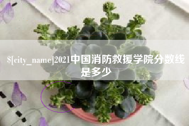河北2021中国消防救援学院分数线是多少