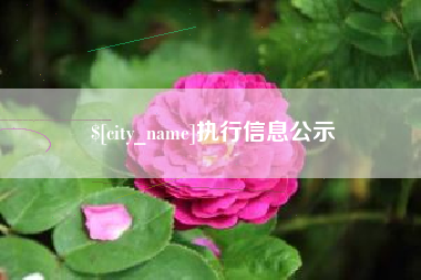 河北执行信息公示