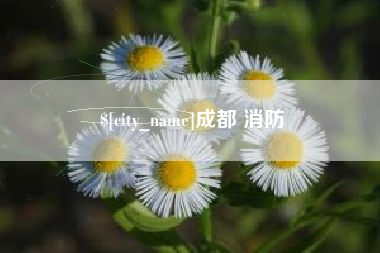 河北成都 消防