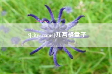 河北九宫格盘子