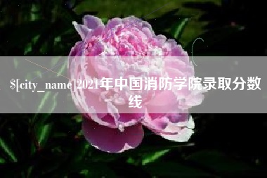 河北2021年中国消防学院录取分数线