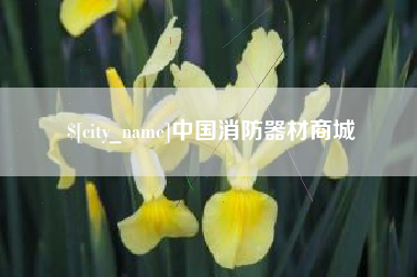 河北中国消防器材商城