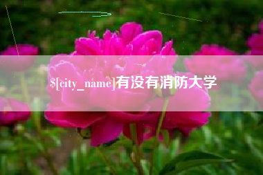河北有没有消防大学