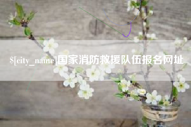 河北国家消防救援队伍报名网址