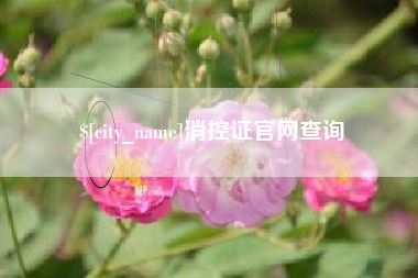 河北消控证官网查询