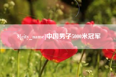 河北中国男子5000米冠军