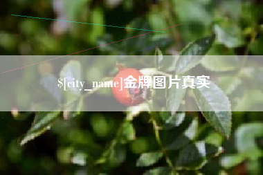 河北金牌图片真实