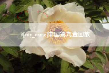 河北中国第九金回放