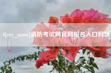河北消防考试网官网报名入口网址